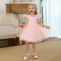 Infant Lace Backless Pink Flower Girl Dresses by Baby Minaj Cruz