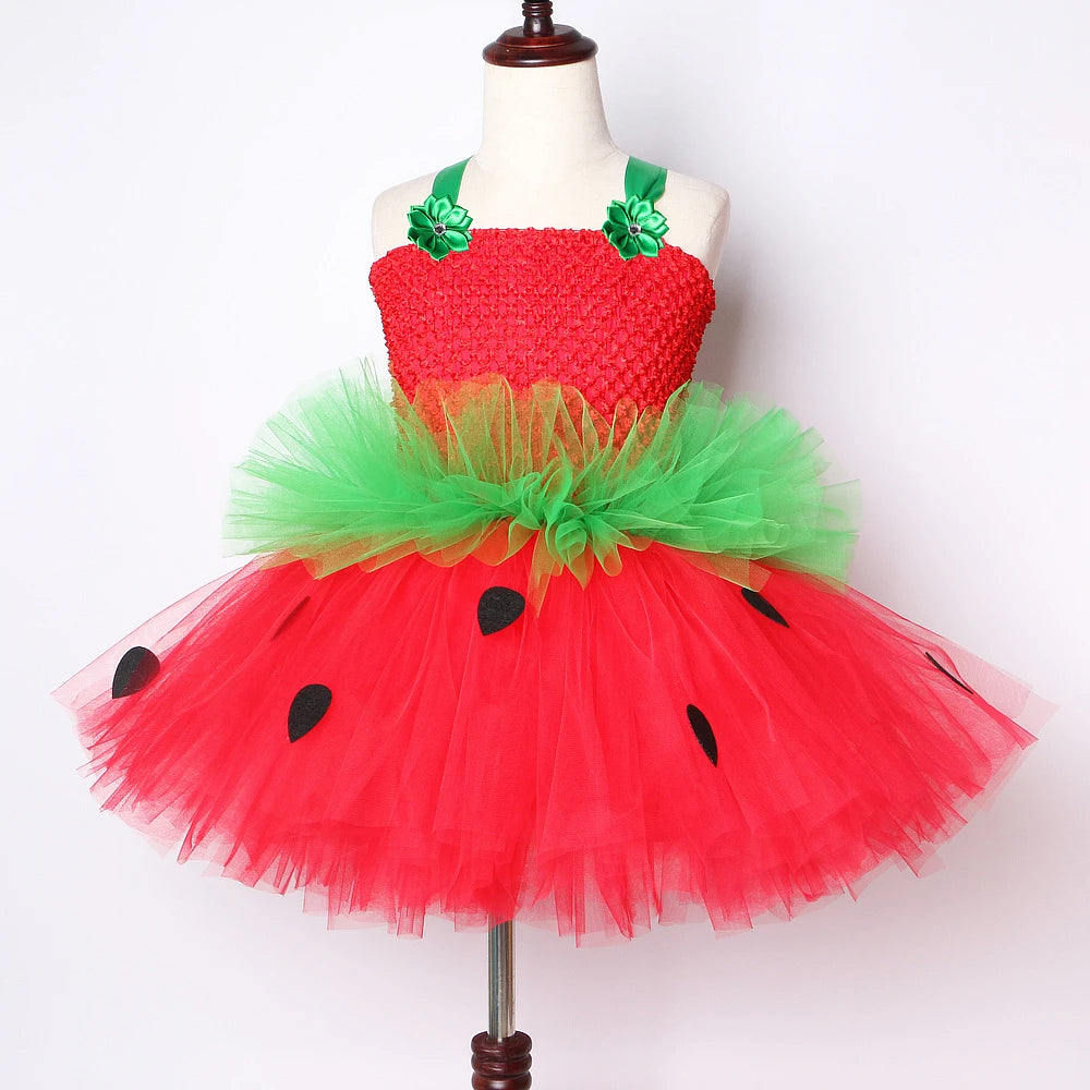 Princess Tutu Dress with Flowers Headband by Baby Minaj Cruz