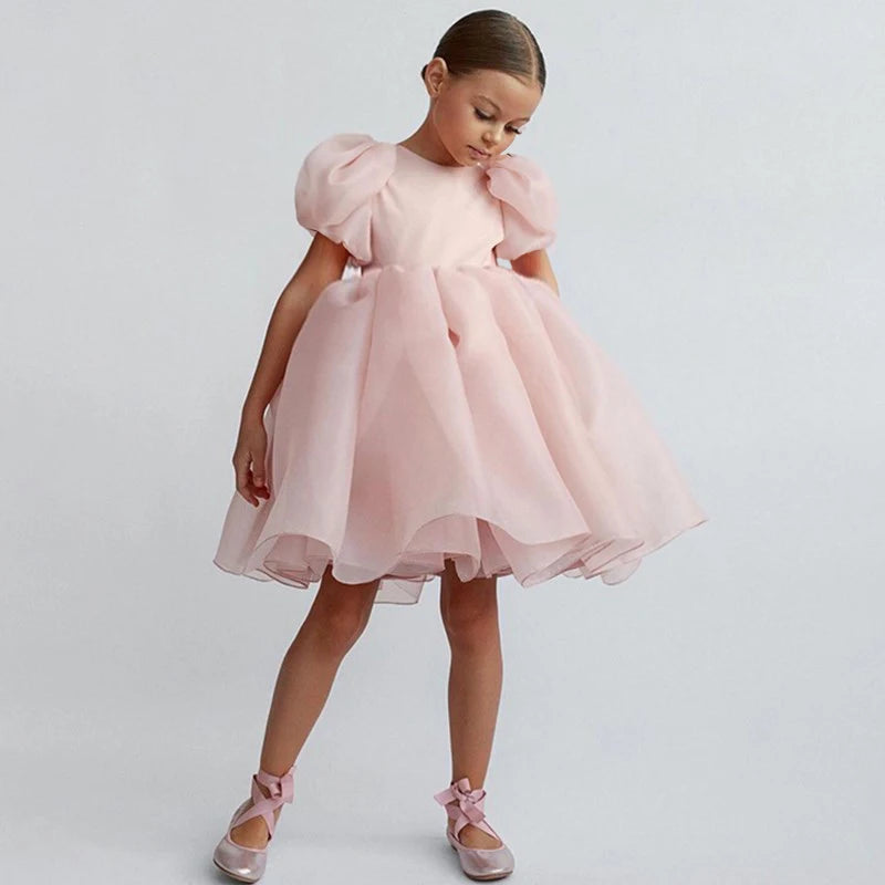 Ruffled Sleeves Toddler Baby Girl Birthday Dress by Baby Minaj Cruz