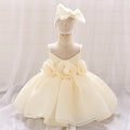 Baby Girl Birthday Dress Sequined Sleeveless With Tulle Champagne by Baby Minaj Cruz