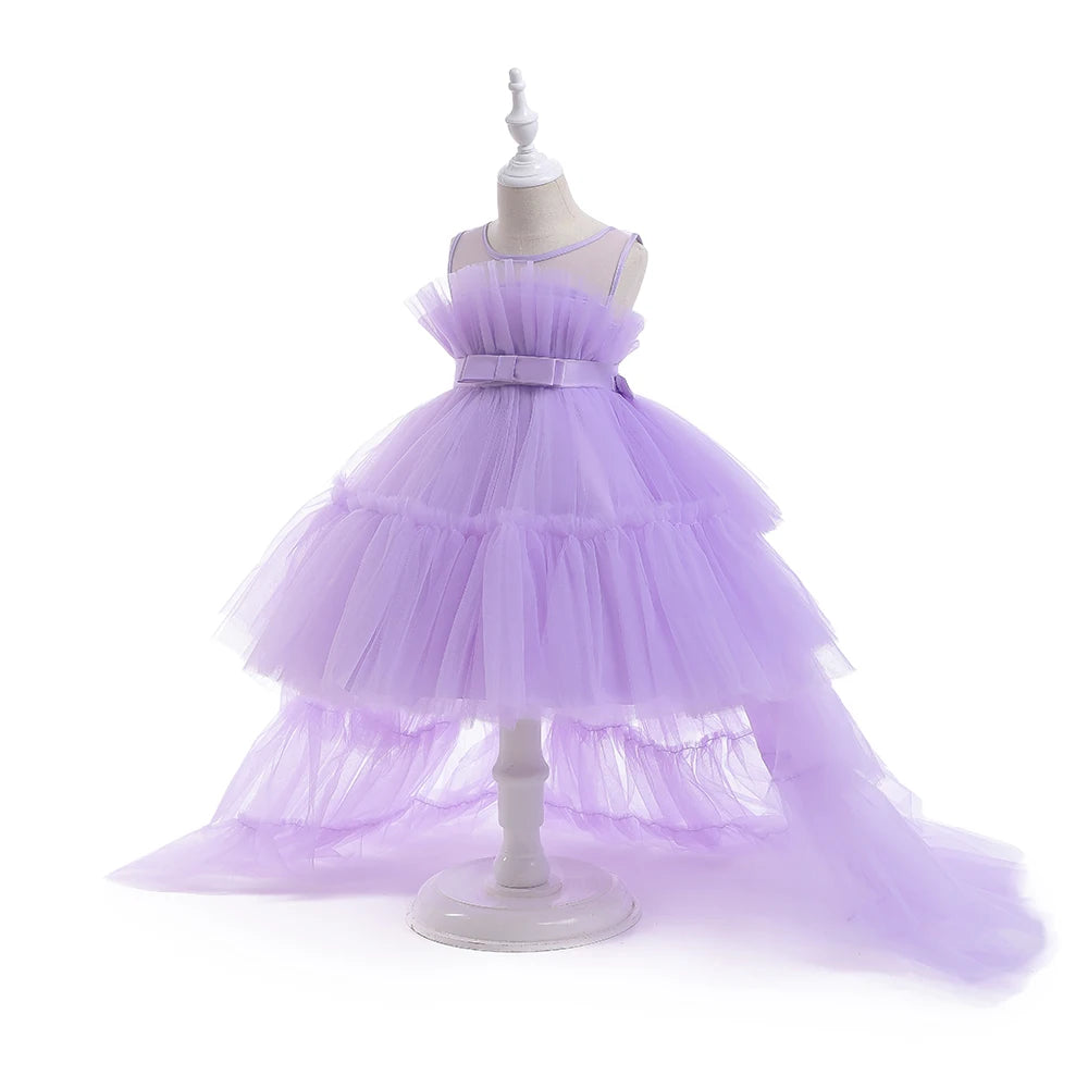 Baby Girls Trailing Princess Flower Girl Dress by Baby Minaj Cruz