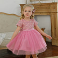 Summer Sequin Fluffy Flower Girl Dress PINK by Baby Minaj Cruz