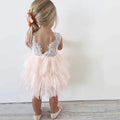 Fluffy Cake Smash Dresses For Toddler Pink by Baby Minaj Cruz
