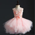 Princess Pink Tulle Prom Dress For Wedding by Baby Minaj Cruz