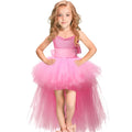 V-neck Tulle Birthday Dresses For Toddler Girl by Baby Minaj Cruz